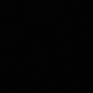 Meet your Posher, Tanner